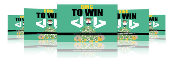 bing ads success videos